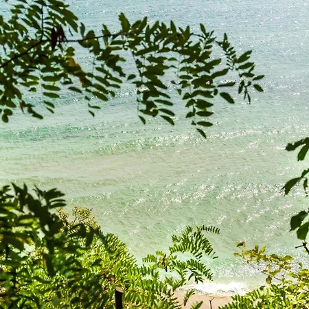 Open Sea *